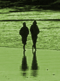 Picture:Strolling Couple